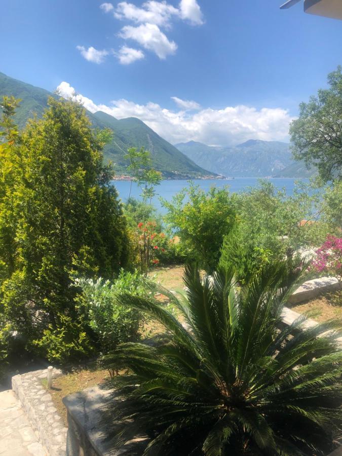 Villa Biskupovic With Stunning Views Kotor Eksteriør bilde